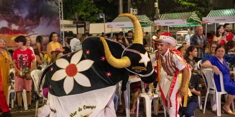Belém tem programação cultural gratuita no encerramento do Festival Amazônia em Movimento | Cultura