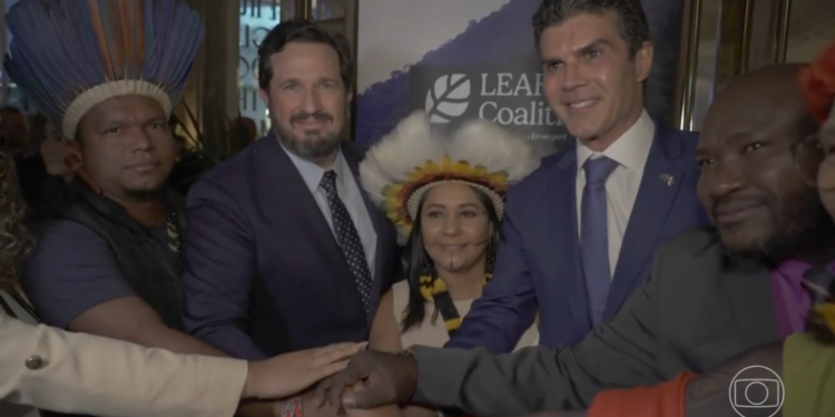 Crédito de carbono no Pará: 'COP do Povo' se manifesta contra venda bilionária a coalização internacional | Pará