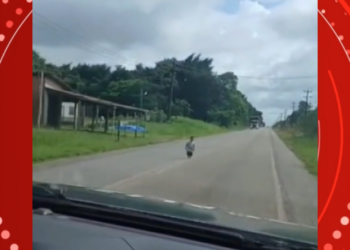 Criança é vista andando sozinha no meio de rodovia no Pará; VÍDEO