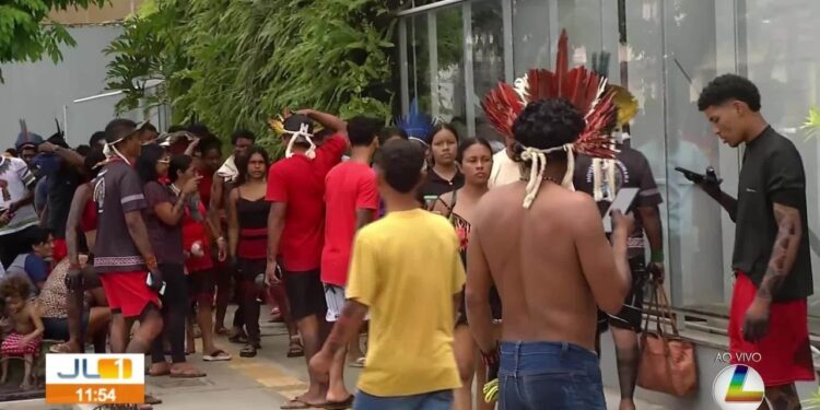 Indígenas ocupam sede da Secretaria de Meio Ambiente em Belém contra atuação de mineradora | Pará