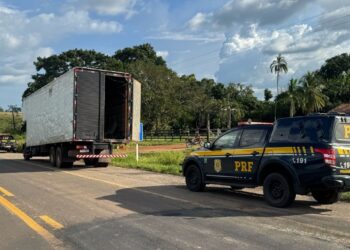 Mais de 200 kg de skunk são apreendidos em caminhão que simulava mudança na Transamazônica, no Pará