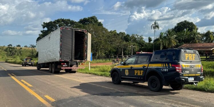Mais de 200 kg de skunk são apreendidos em caminhão que simulava mudança na Transamazônica, no Pará