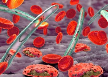 Malária na Amazônia: sintomas, tratamento e como se prevenir da doença | Brasil