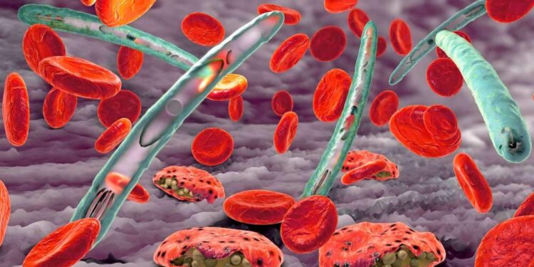 Malária na Amazônia: sintomas, tratamento e como se prevenir da doença | Brasil