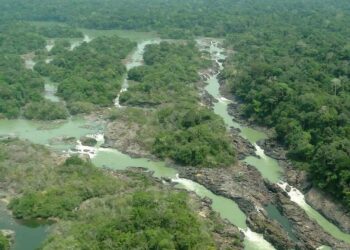 Pará regulamenta Cota de Proteção Ambiental e fortalece gestão de Unidades de Conservação | Pará