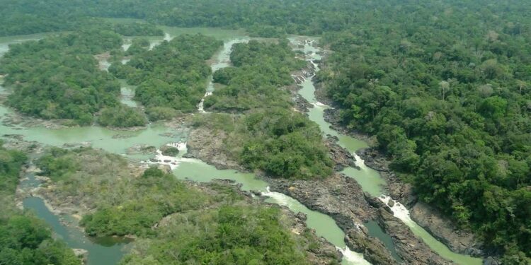 Pará regulamenta Cota de Proteção Ambiental e fortalece gestão de Unidades de Conservação | Pará