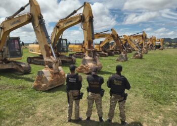 Polícia Federal fecha garimpos ilegais de ouro e apreende 12 retroescavadeiras no Pará | Pará
