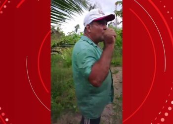 Polícia prende três suspeitos de envolvimento no assassinato de agricultor na mesma região de Dorothy Stang no PA