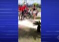 Prints de mensagens mostram entregador pedindo à delegada que fosse até a portaria em Belém | Pará