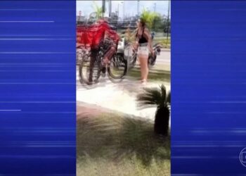 Prints de mensagens mostram entregador pedindo à delegada que fosse até a portaria em Belém | Pará