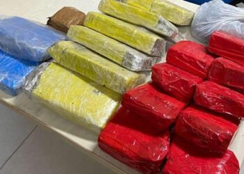 Rotam prende mulher com 18 tabletes de maconha em Benevides | Polícia