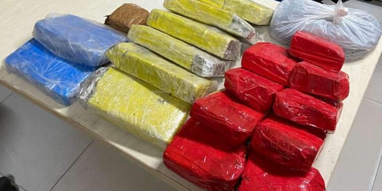 Rotam prende mulher com 18 tabletes de maconha em Benevides | Polícia