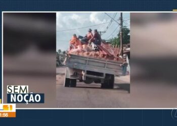 VÍDEOS: JL1 de terça-feira, 22 de abril de 2025