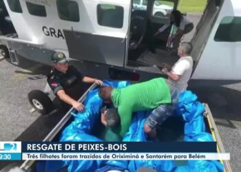 VÍDEOS: JL2 de quarta-feira, 30 de abril de 2025