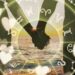 Astrologia aponta os signos com mais 'dedo podre' no amor; veja se o seu está na lista | Brasil