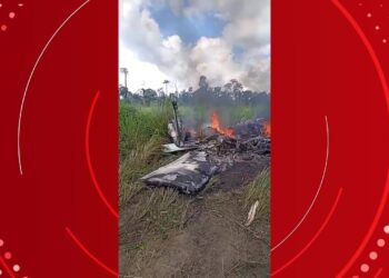 Avião de pequeno porte cai em Altamira, no sudoeste do Pará