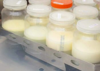 Belém sedia Fórum Mundial de Doação de Leite Humano, com foco nas mudanças climáticas | Belém