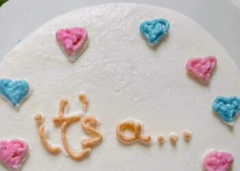 Bolo Revelação: conheça a nova tendência de bolos para pets que revelam o sexo do bebê | Pets