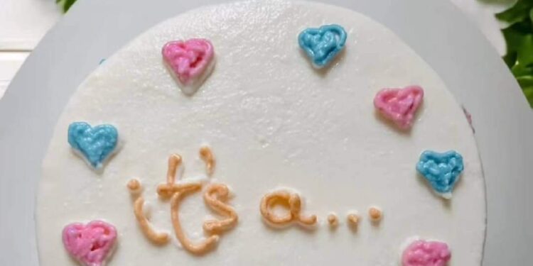 Bolo Revelação: conheça a nova tendência de bolos para pets que revelam o sexo do bebê | Pets