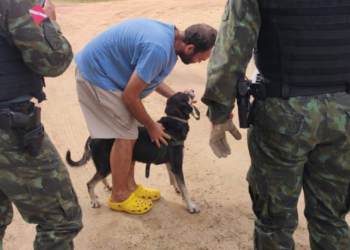 Cachorro é atacado por jararaca no Instituto Evandro Chagas, na Grande Belém