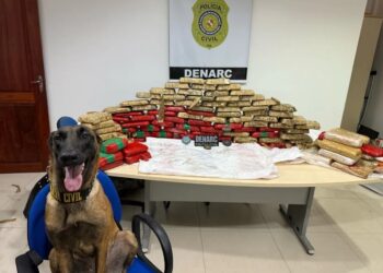 Cão encontra 180 kg de drogas em terreno de mata no município de  Cametá, no Pará
