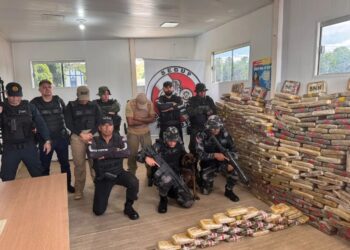 Cão encontra quase meia tonelada de drogas em embarcação no Marajó | Pará