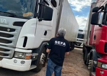 Carga de 78 toneladas de carne bovina avaliada em R$ 1,5 milhão é apreendida no sudeste do Pará | Pará