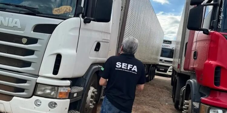 Carga de 78 toneladas de carne bovina avaliada em R$ 1,5 milhão é apreendida no sudeste do Pará | Pará