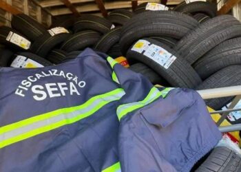 Carga de mais de R$ 400 mil em pneus e motores de kart é apreendida pela Sefa no interior do Pará | Pará