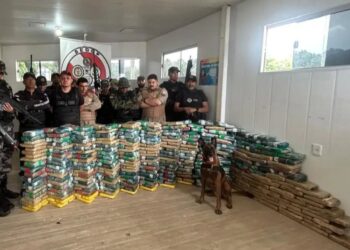 Com ajuda de cão Jay-Z, meia tonelada de drogas é apreendida no Marajó