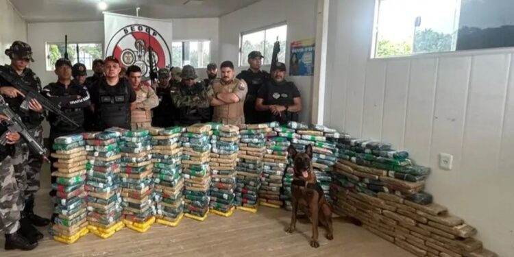 Com ajuda de cão Jay-Z, meia tonelada de drogas é apreendida no Marajó