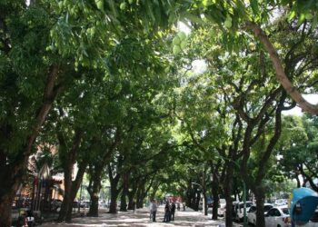 Congresso internacional reúne, em Belém, CEO da COP30, especialistas e lideranças empresariais para discutir desenvolvimento sustentável | Pará