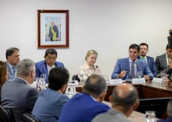 Em Brasília, governador do Pará defende medidas para garantir segurança jurídica no campo | Pará