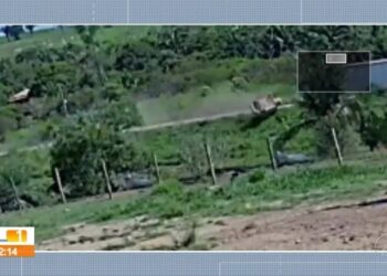 Engenheira morre após colisão entre carro e caminhão na Transamazônica, no Pará; noivo sobreviveu