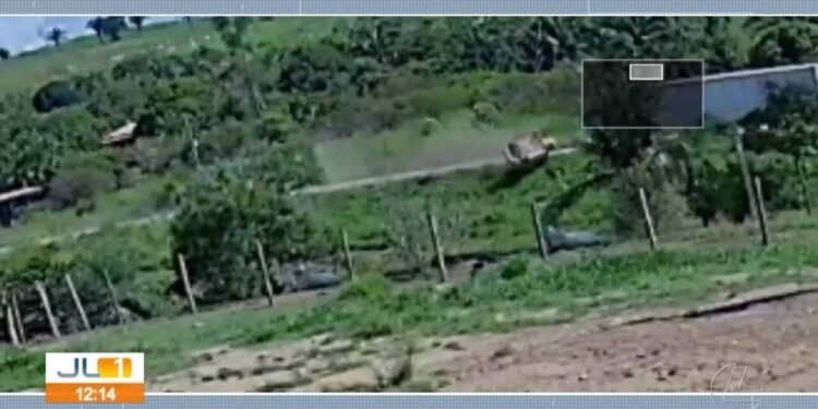 Engenheira morre após colisão entre carro e caminhão na Transamazônica, no Pará; noivo sobreviveu