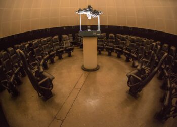 Exposições, oficinas e histórias: Veja a programação na Semana dos Museus no PA