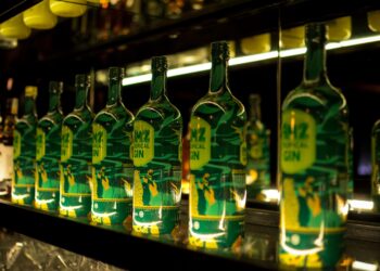 Gin de castanha-do-Pará conquista medalha de ouro em concurso nacional