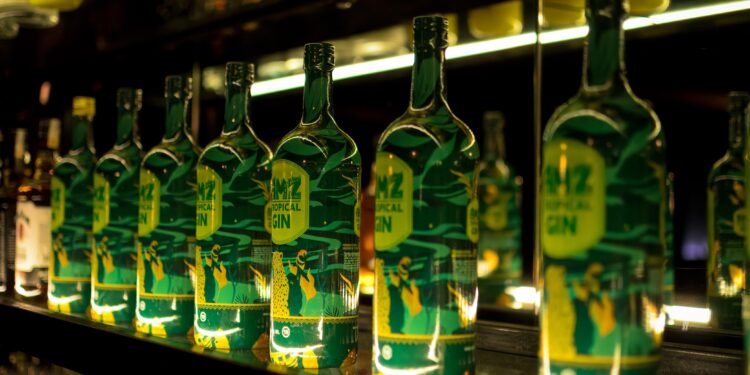 Gin de castanha-do-Pará conquista medalha de ouro em concurso nacional