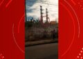 Homem é preso após arremessar filhote de cachorro por cima de muro em Belém;VÍDEO | Pará