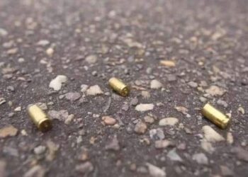 Homem morre ao ser baleado no peito em Nova Esperança do Piriá | Polícia