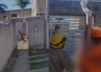 Homem tenta invadir casa da ex, fica preso em cerca e acaba pelado em cima de muro | Brasil