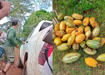 Indígenas Parakanã denunciam ataque a tiros de pistoleiros na TI Apyterewa, no Pará