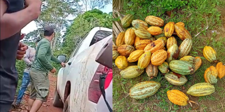 Indígenas Parakanã denunciam ataque a tiros de pistoleiros na TI Apyterewa, no Pará