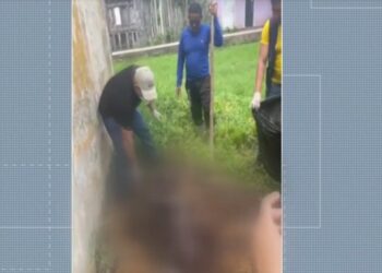 Ministério Público investiga morte de cães por suspeita de envenenamento em Igarapé-Miri, no Pará