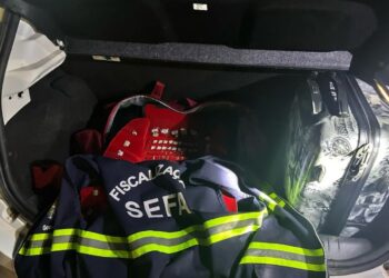 No Pará, Sefa apreende semijoias e carga de arroz avaliadas em mais de R$ 400 mil | Pará