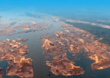 O que é o Pedral do Lourenço? Entenda por que ele é tão importante para o Pará | Economia