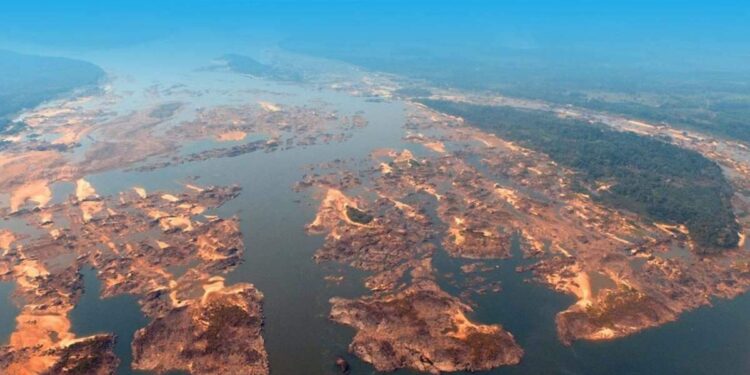 O que é o Pedral do Lourenço? Entenda por que ele é tão importante para o Pará | Economia