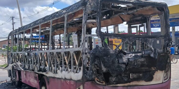 Ônibus pega fogo na avenida Augusto Montenegro e assusta passageiros em Belém | Pará
