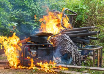 Operação de retirada de invasores da terra Kayapó destrói maquinários em área de garimpo ilegal, no Pará