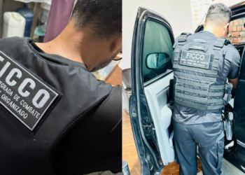 Operação investiga servidores públicos suspeitos de falsificar documentos no Pará | Pará